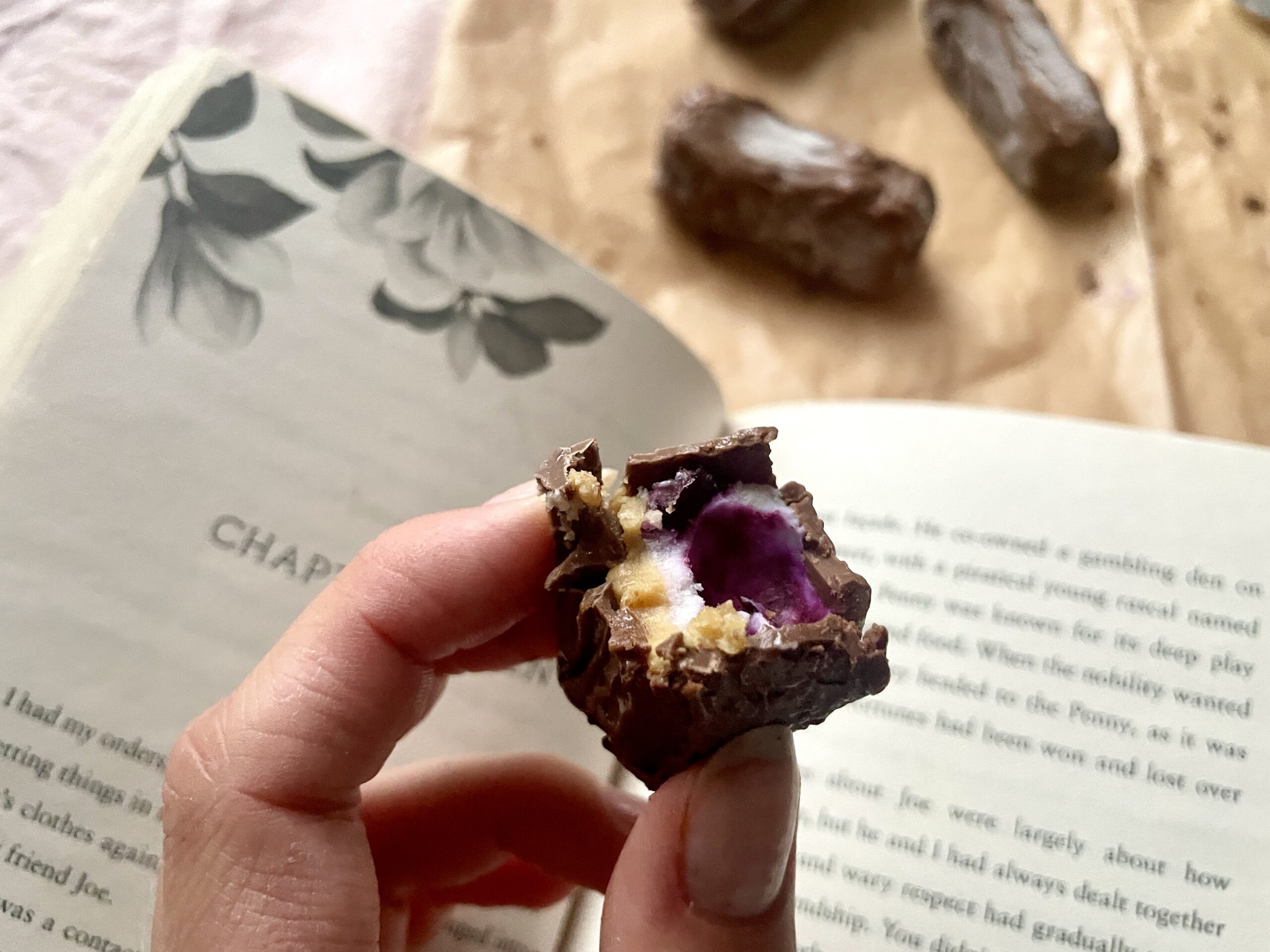 Chocolate-blueberry frozen yogurt bars – the perfect summer treat